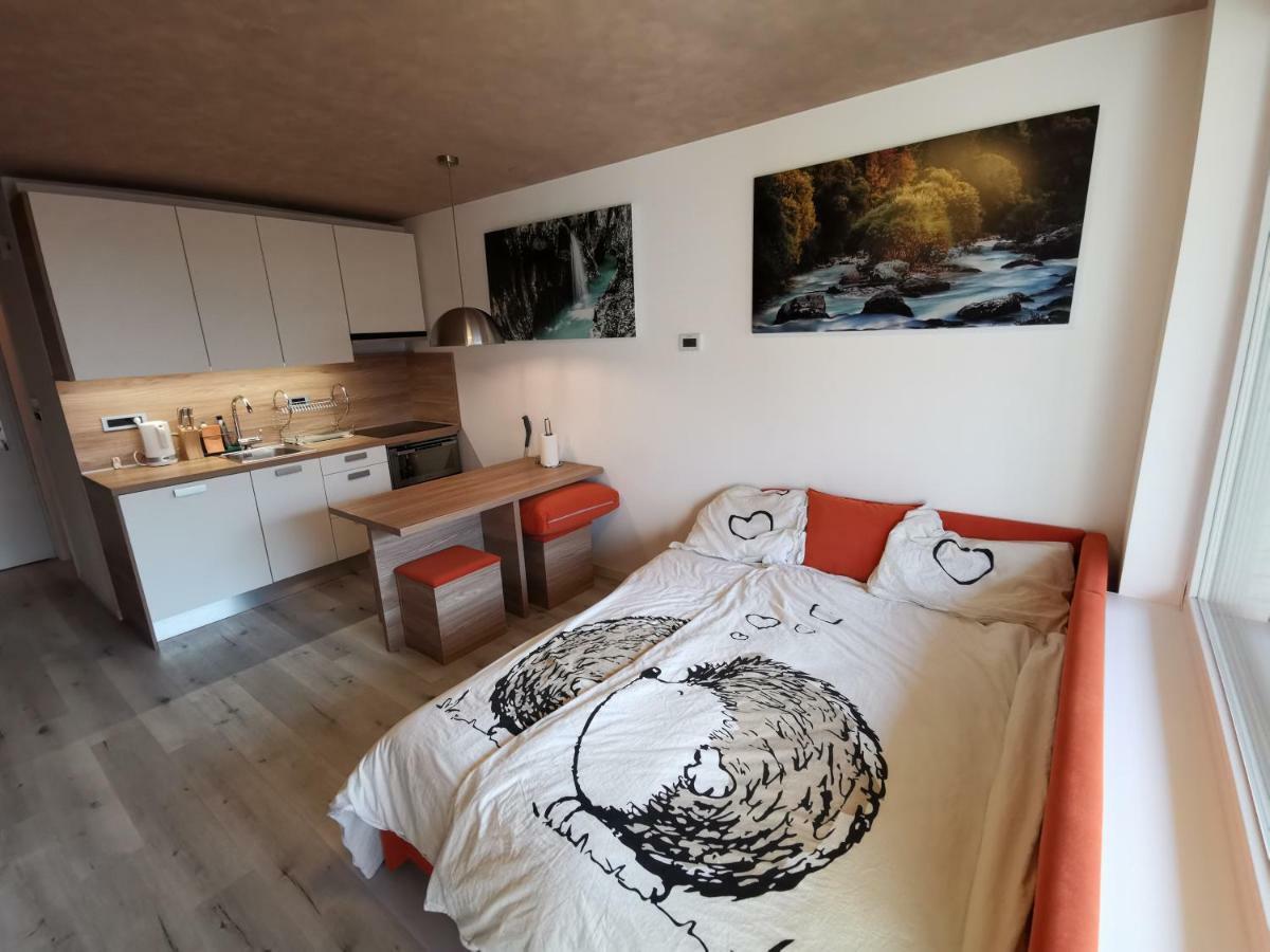 Studio Apartment Jez ボヴェツ エクステリア 写真